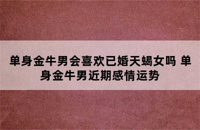 单身金牛男会喜欢已婚天蝎女吗 单身金牛男近期感情运势